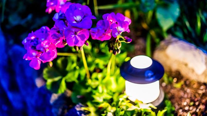 YardLightings.com is For Sale! YardLightings.com is For Sale!